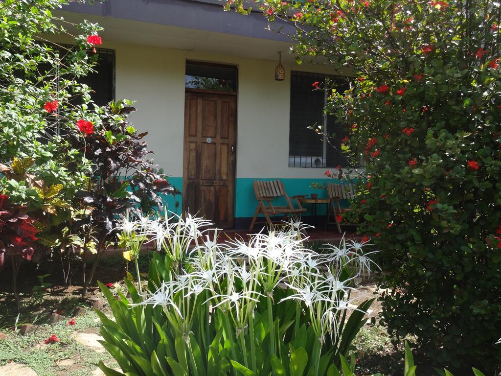 Готель Harvest House Nicaragua Леон Екстер'єр фото