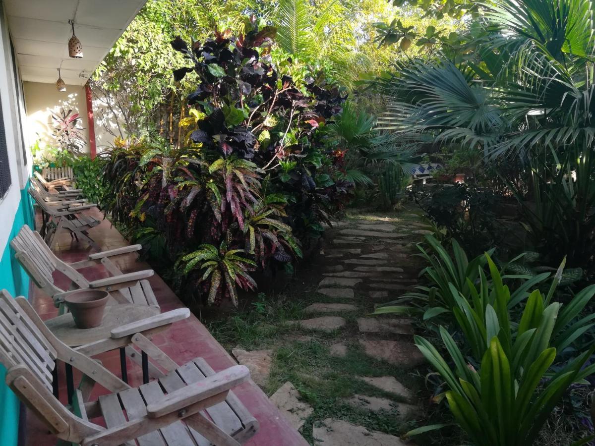 Готель Harvest House Nicaragua Леон Екстер'єр фото